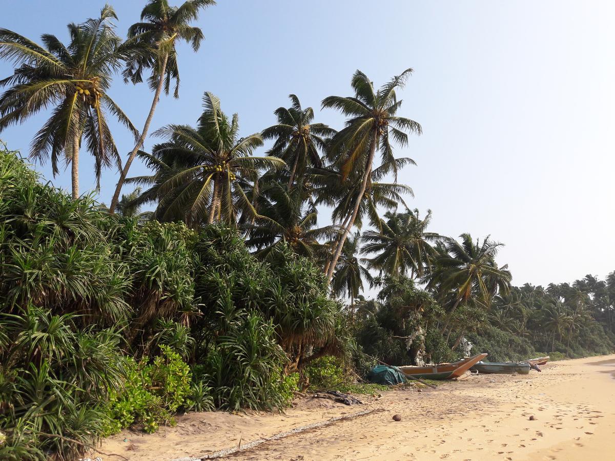 Leatherback Beach Villa Ahungalla Eksteriør billede