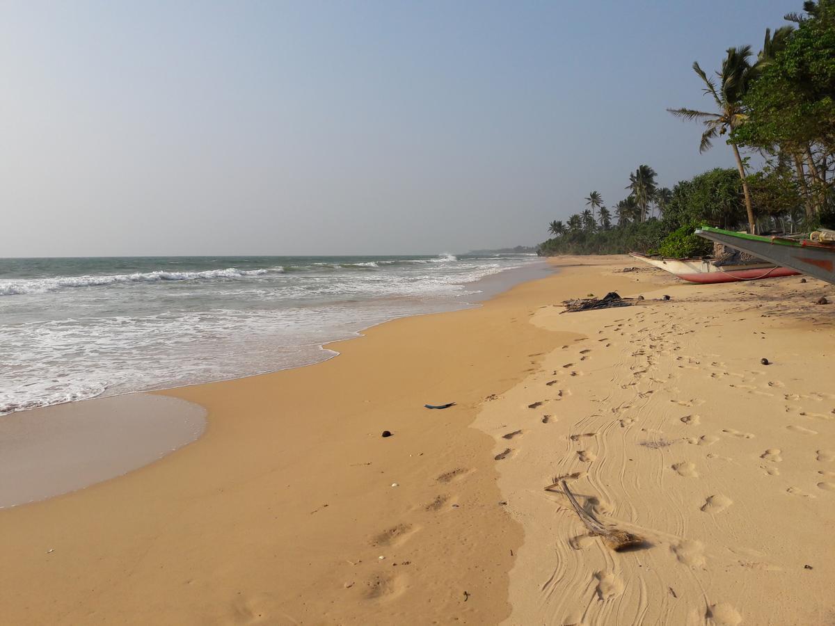 Leatherback Beach Villa Ahungalla Eksteriør billede