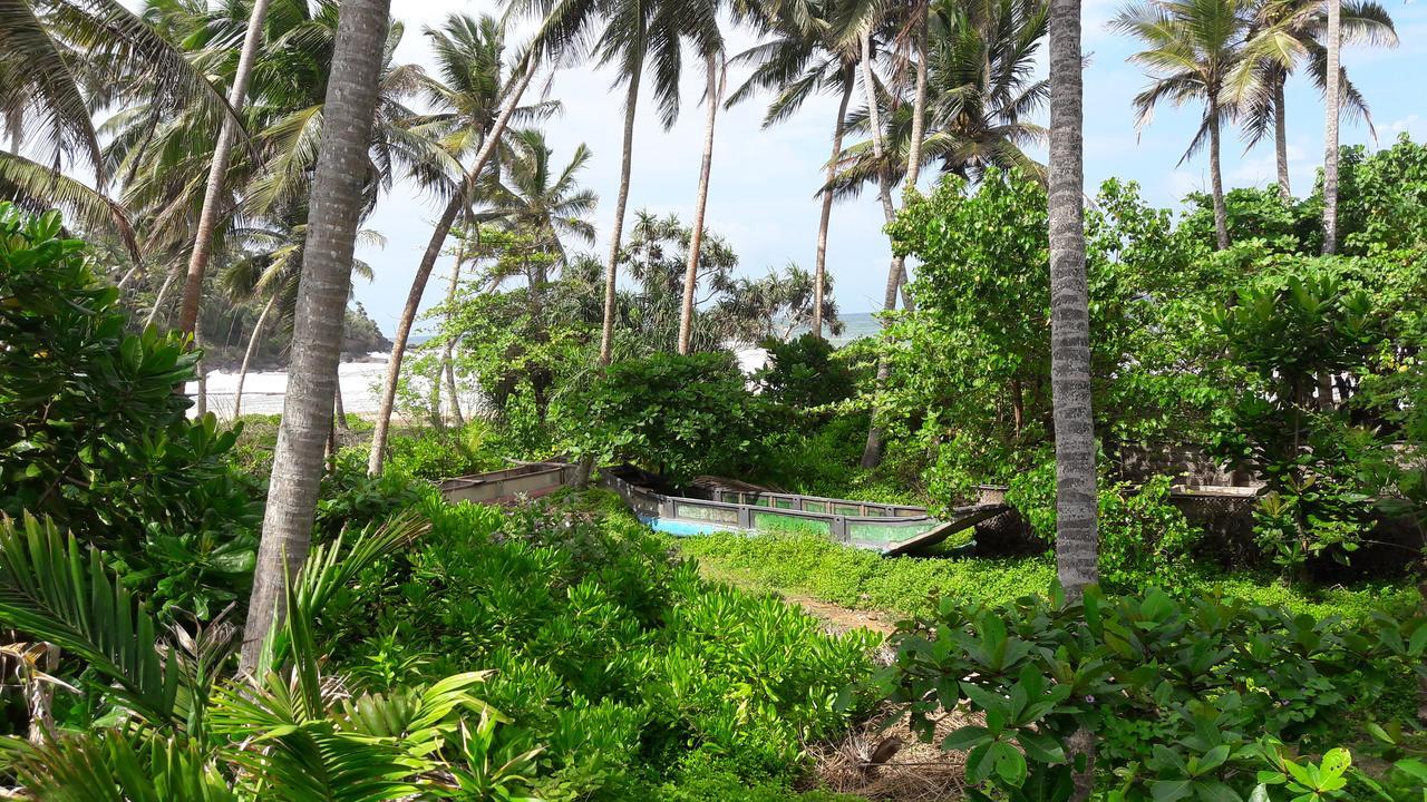Leatherback Beach Villa Ahungalla Eksteriør billede